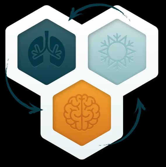 Los 3 Pilares del Método Wim Hof