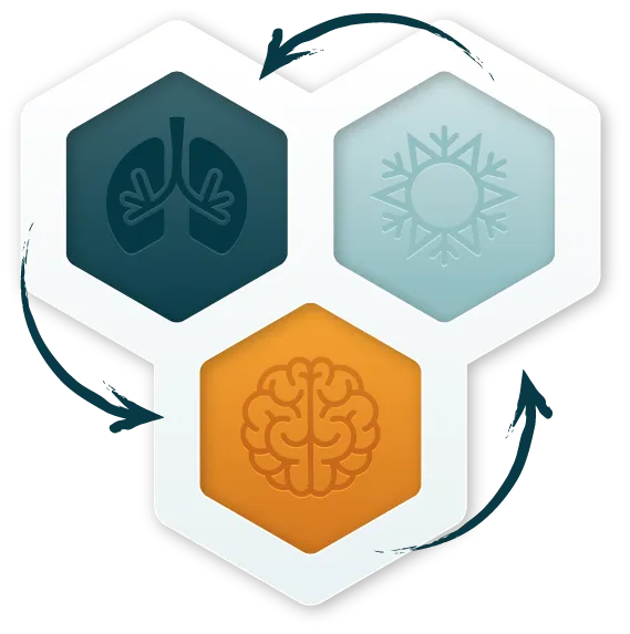 Los 3 Pilares del Método Wim Hof